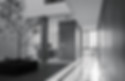 casanea_jtn_15.jpg